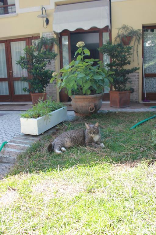 B&B Al Borgo Ravenna Dış mekan fotoğraf